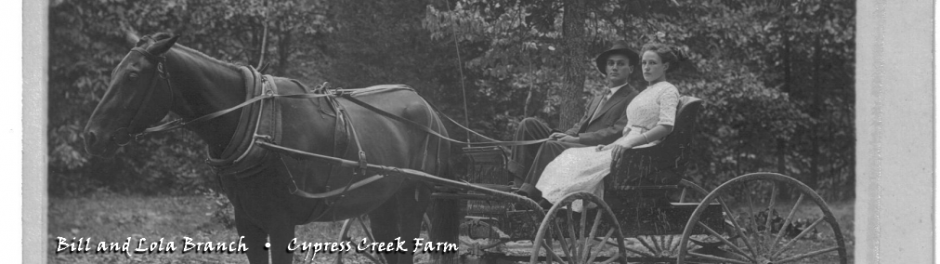 Tennessee Century Farms