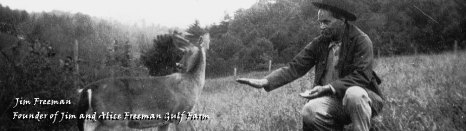 Tennessee Century Farms