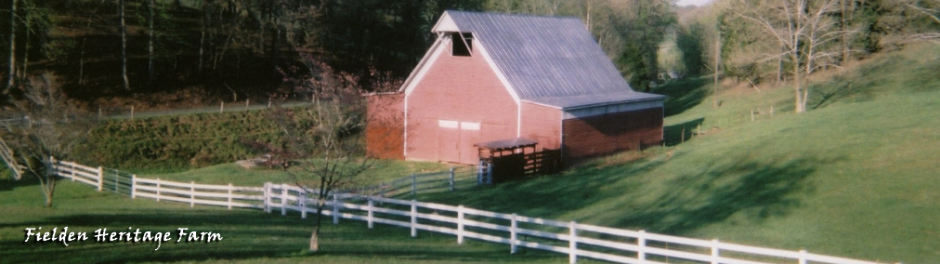 Tennessee Century Farms