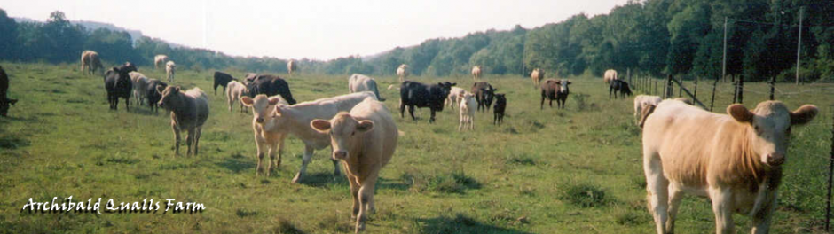 Tennessee Century Farms
