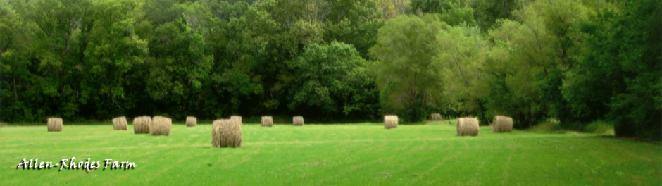 Tennessee Century Farms