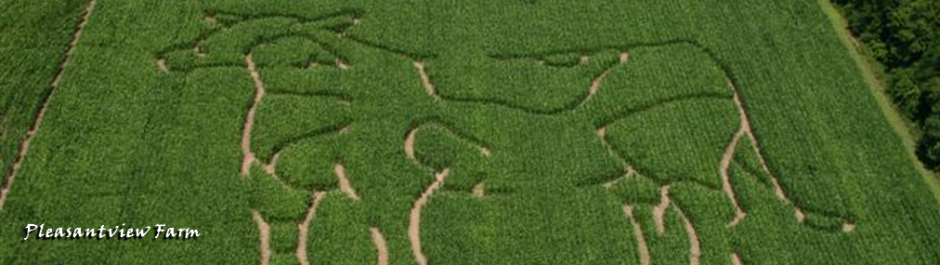 Tennessee Century Farms