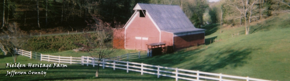 Tennessee Century Farms