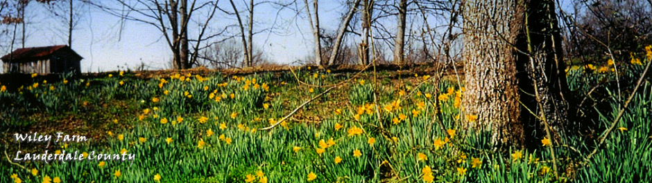 Tennessee Century Farms