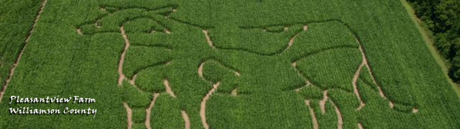 Tennessee Century Farms